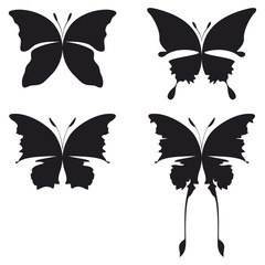 four illustration of buttefly silhouette black on white