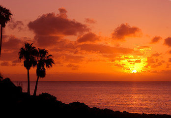 Naklejka na ściany i meble orange sunset on tropical island with palm