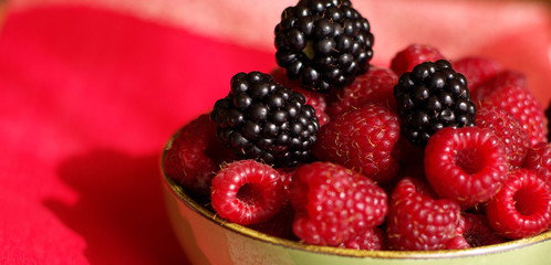 Himbeeren und brombeeren