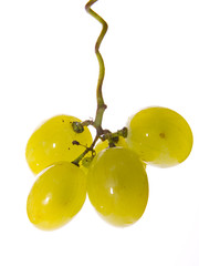 Green grapes isolated on white background