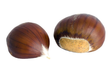 Isolated sweet chestnut fruits