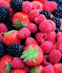 Berries