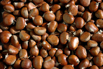 castagne