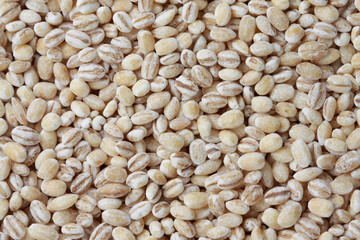 uncooked fresh whole barley background