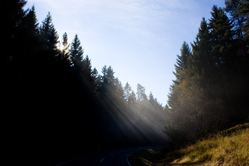Nebel