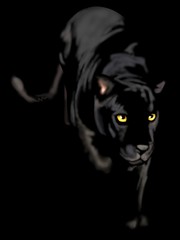 Naklejka premium black panther of night