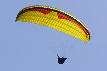 Paraglider