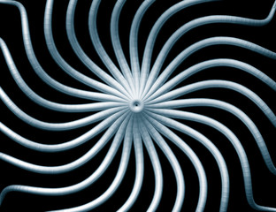 Abstract organic form on black background - 3d illustration