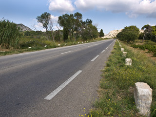 Quiet empty road in Provence in Olive territory.