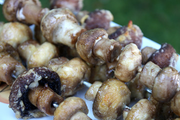 Gegrillte Pilze