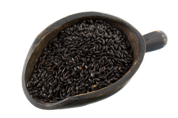 forbidden black rice on a wooden scoop, isolated on white