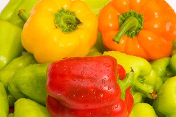 Bell peppers arranged at the market stand