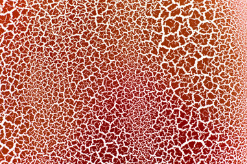 Gemusterter Hintergrund in Rot und Weiß