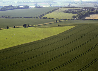 Obraz premium Buckinghamshire Chilterns