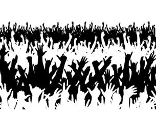 Concert crowd