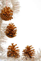 Pine cones used for christmas decoration with white background