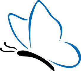 Dessin de papillon bleu © tibbbb