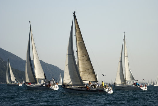 Sailboats are at race