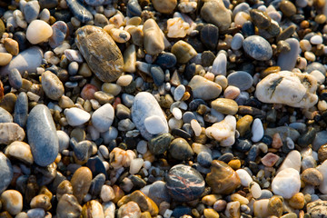 color pebbles on a beach