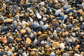 color pebbles on a beach