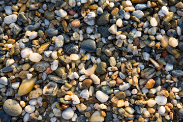 color pebbles on a beach