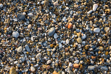 color pebbles on a beach