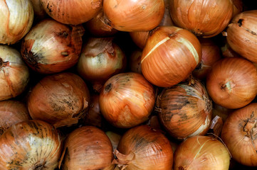 Close up shot of organic onions