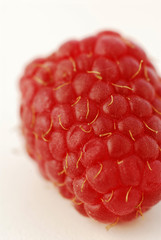 Lampone - Rubus idaeus