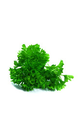Close-up view of a bunch of parsley.