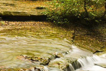 Foreste Casentinesi, National Park, Romagna