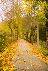 Casentinesi National Park, Emilia Romagna