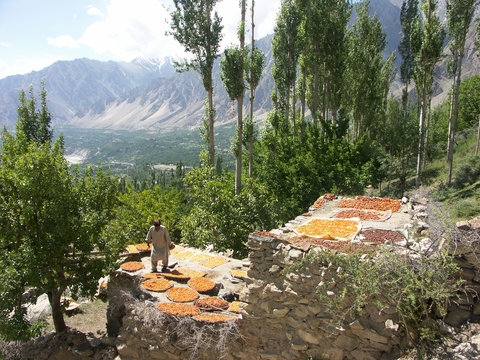 Pakistan 081 Hunza