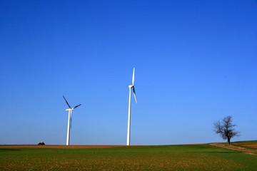 Fototapeta premium Windräder