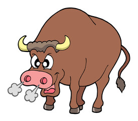 Angry bull