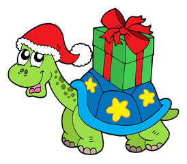Christmas turtle with gift