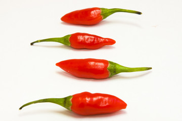 chili picante