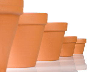flowerpot in a row in front of a white background