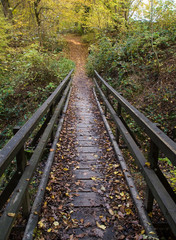 Fototapeta premium Petit pont dans la foret automnale