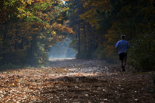 a picture of sunlight falling on a fall trail as a man runs