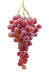 Bunch of grapes (