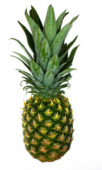 Fototapeta premium pineapple isolated