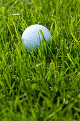 Golf Ball and Grass close up shot