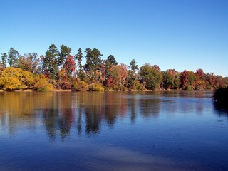 fall on the altamaha river