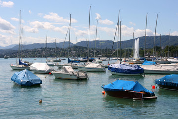 Fototapeta na wymiar Zurich Lake marina - sailboats and motorboats. Swiss resort.