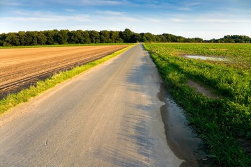 Rural landscape with an asphalt road
