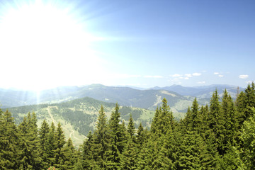 Mountains with green forest landscape.