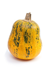 Pumpkin (lagenaria) isolated on the white background
