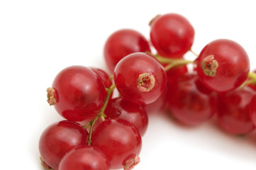 red currant on white background