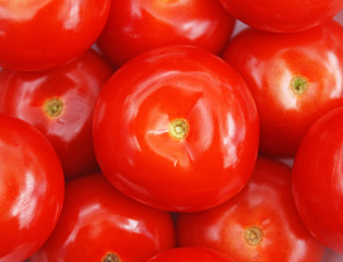 ripe red tomatoes