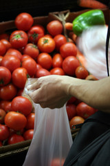 mujer en el mercado comprando tomates. cesta compra